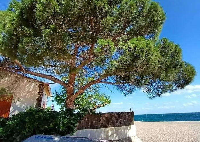 Superbe 6 Pers. A Argeles: Terrasse, Wifi, Parking, Proche - Fr-1-776-25 Apartmán