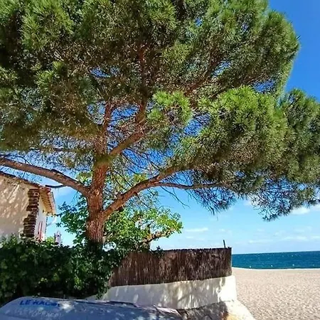 Superbe 6 Pers. A Argeles: Terrasse, Wifi, Parking, Proche - Fr-1-776-25 公寓